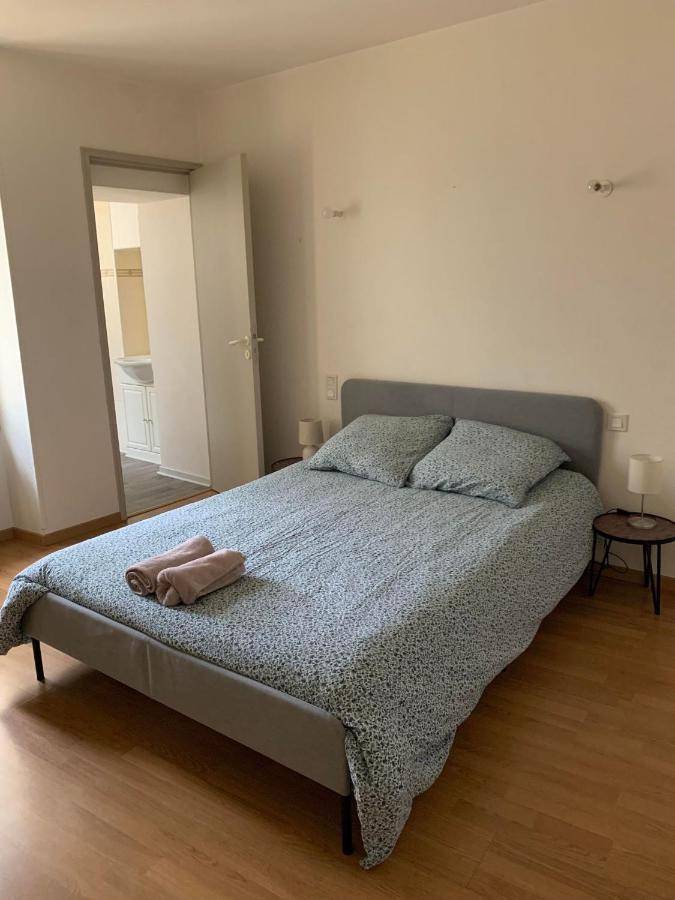 Ravissant Appartement T3 Hypercentre De Mazamet Esterno foto
